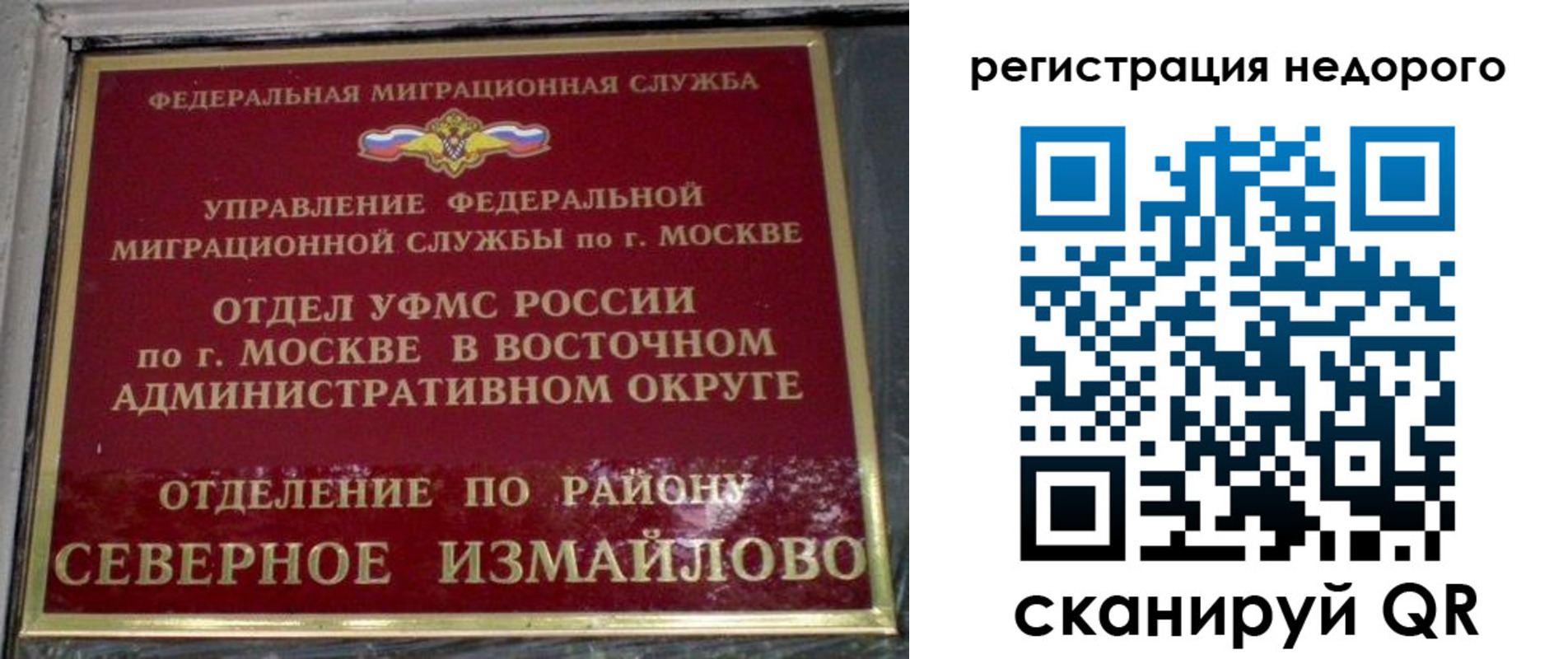 прописка в квартире в Брянске