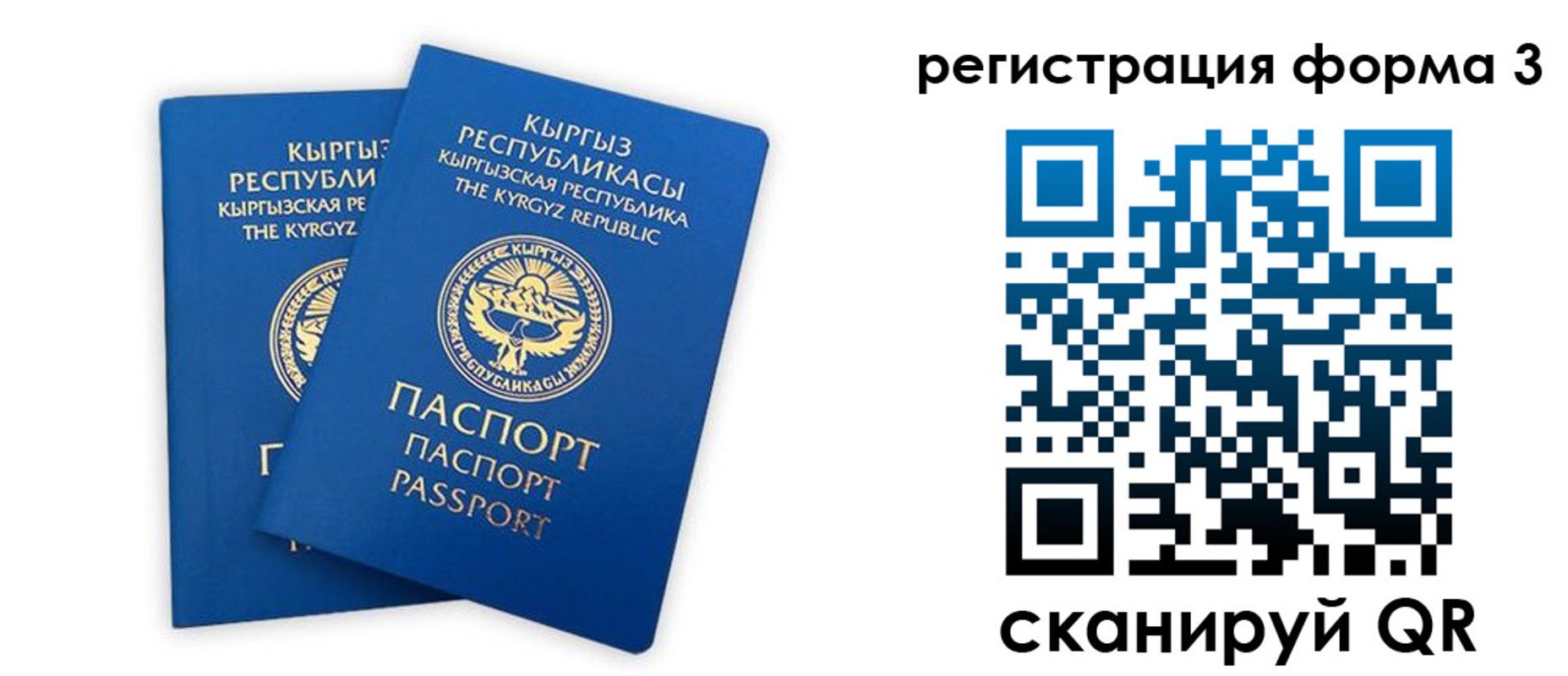 временная регистрация госуслуги в Брянске